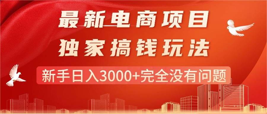 最新电商项目-搞钱玩法，新手日入3000+完全没有问题 - 维兴科技-维兴科技