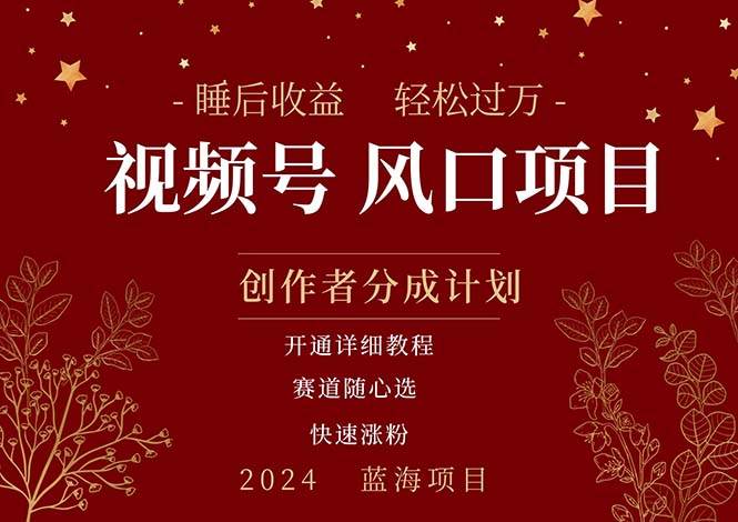 拥有睡眠收益的微信视频号大风口项目，轻松月入过万+，多赛道选择，可… - 维兴科技-维兴科技