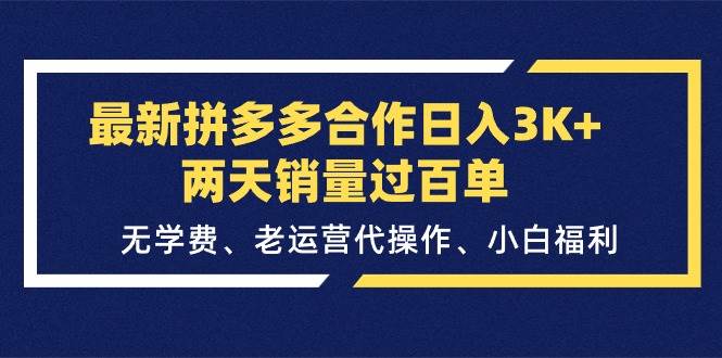 最新拼多多合作日入3K+两天销量过百单，无学费、老运营代操作、小白福利 - 维兴科技-维兴科技
