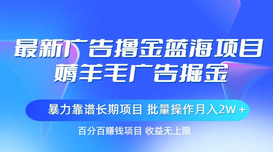 最新广告撸金蓝海项目，薅羊毛广告掘金 长期项目 批量操作月入2W＋ - 维兴科技-维兴科技