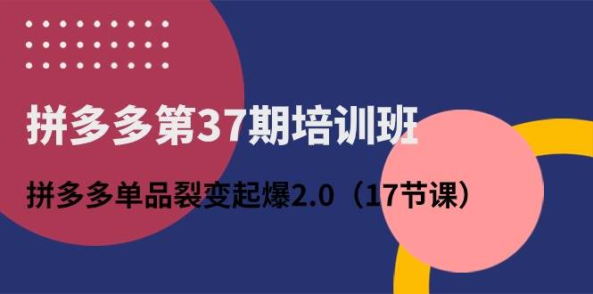 拼多多第37期培训班：拼多多单品裂变起爆2.0（17节课） - 维兴科技-维兴科技