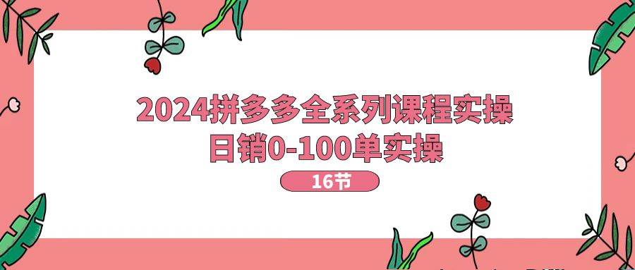 2024拼多多全系列课程实操，日销0-100单实操【16节课】 - 维兴科技-维兴科技