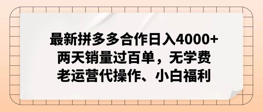 最新拼多多合作日入4000+两天销量过百单，无学费、老运营代操作、小白福利 - 维兴科技-维兴科技
