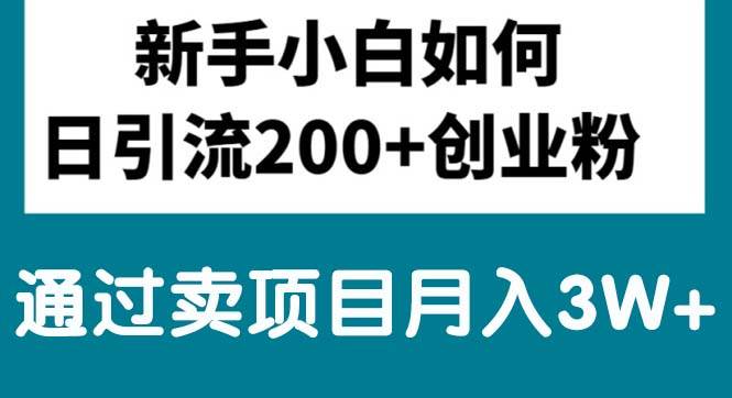 新手小白日引流200+创业粉,通过卖项目月入3W+ - 维兴科技-维兴科技