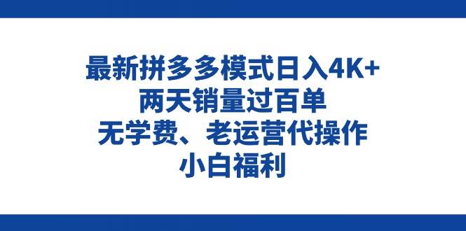 拼多多最新模式日入4K+两天销量过百单，无学费、老运营代操作、小白福利 - 维兴科技-维兴科技