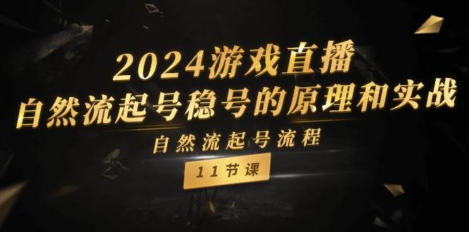2024游戏直播-自然流起号稳号的原理和实战，自然流起号流程（11节） - 维兴科技-维兴科技