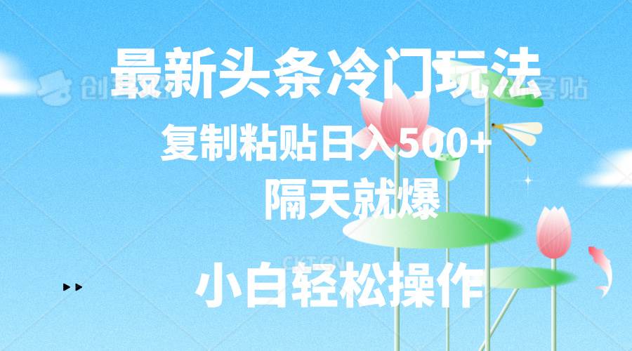最新头条冷门玩法，隔天就爆，复制粘贴日入500+ - 维兴科技-维兴科技