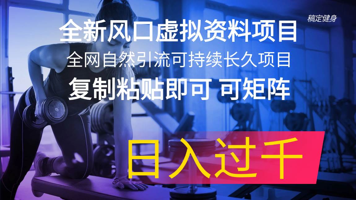 全新风口虚拟资料项目 全网自然引流可持续长久项目 复制粘贴即可可矩阵… - 维兴科技-维兴科技
