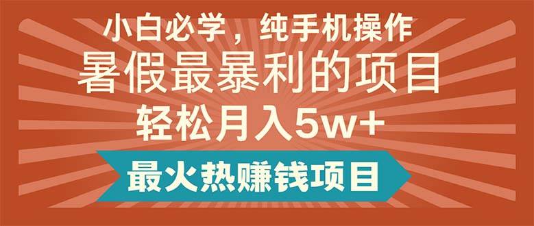小白必学，纯手机操作，暑假最暴利的项目轻松月入5w+最火热赚钱项目 - 维兴科技-维兴科技