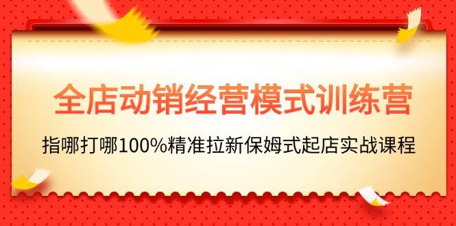 全店动销-经营模式训练营，指哪打哪100%精准拉新保姆式起店实战课程 - 维兴科技-维兴科技