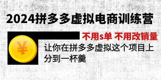 2024拼多多虚拟电商训练营 不s单 不改销量 做虚拟项目分一杯羹(更新10节) - 维兴科技-维兴科技