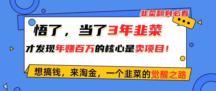 悟了，当了3年韭菜，才发现网赚圈年赚100万的核心是卖项目，含泪分享！ - 维兴科技-维兴科技