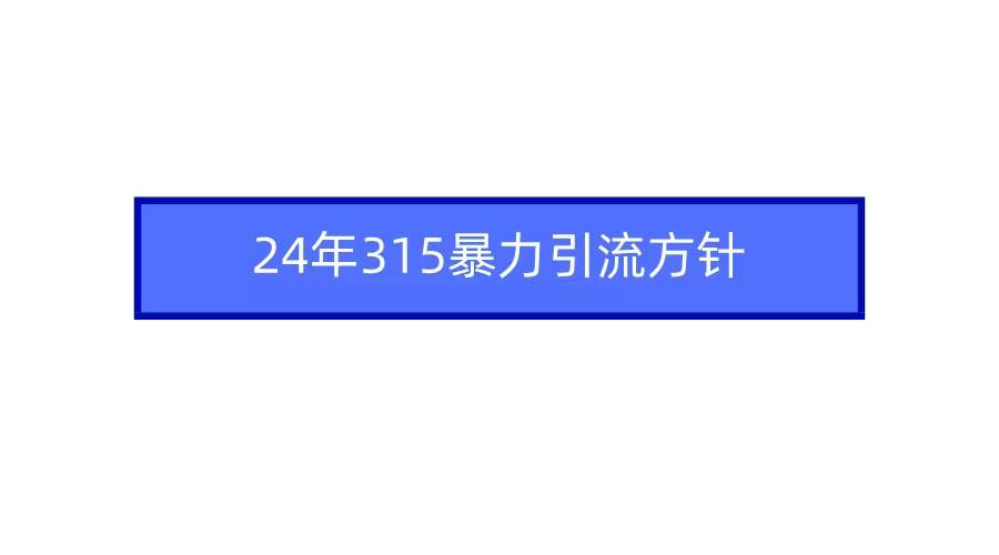 2024年315暴力引流方针 - 维兴科技-维兴科技
