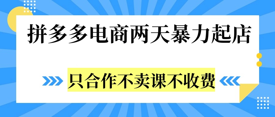 拼多多两天暴力起店，只合作不卖课不收费 - 维兴科技-维兴科技