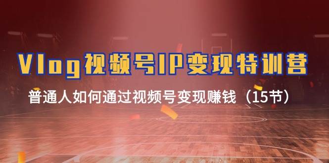 Vlog 视频号IP变现特训营，普通人如何通过视频号变现赚钱（15节） - 维兴科技-维兴科技