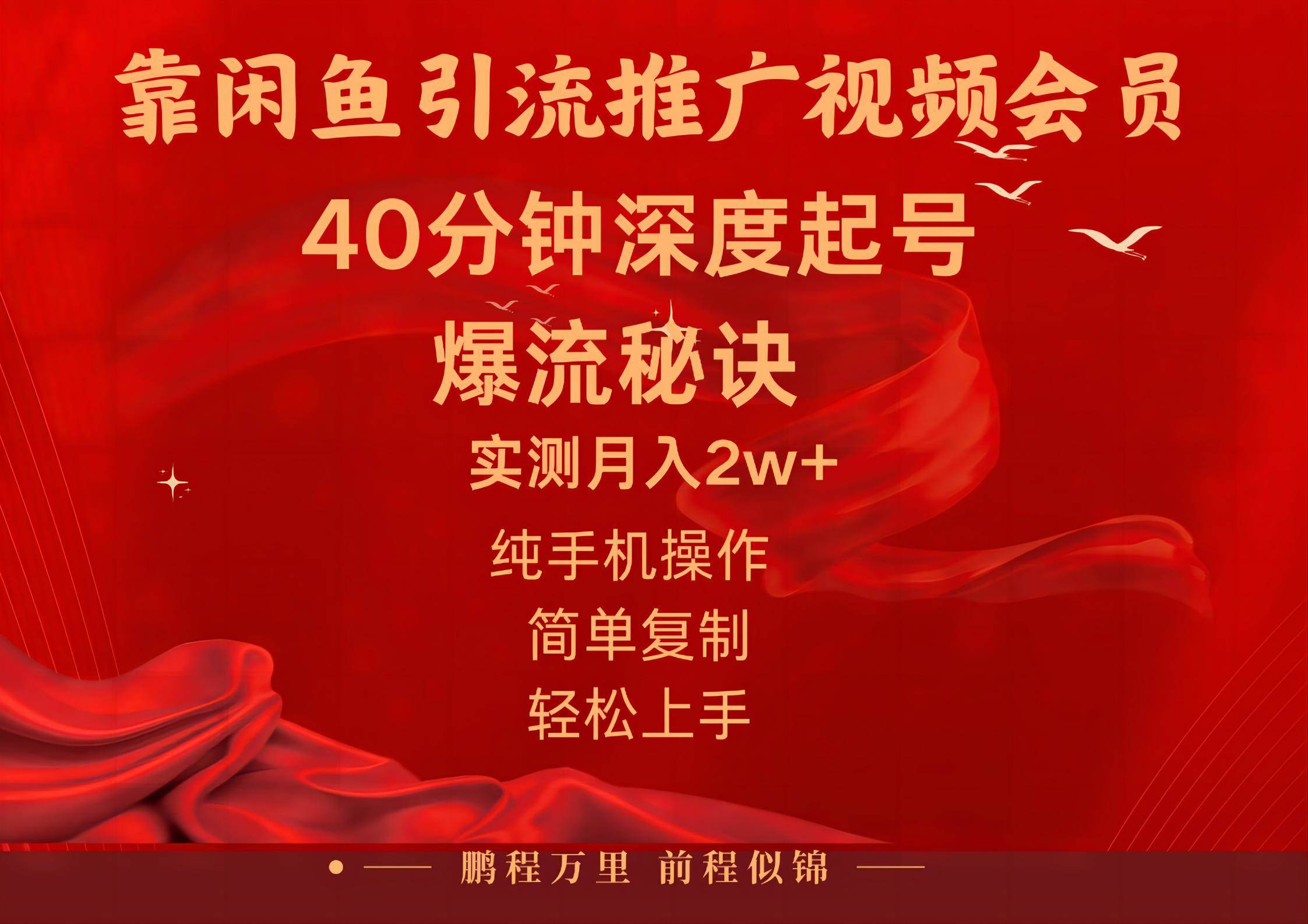 闲鱼暴力引流推广视频会员，能做到日入2W+，操作简单 - 维兴科技-维兴科技