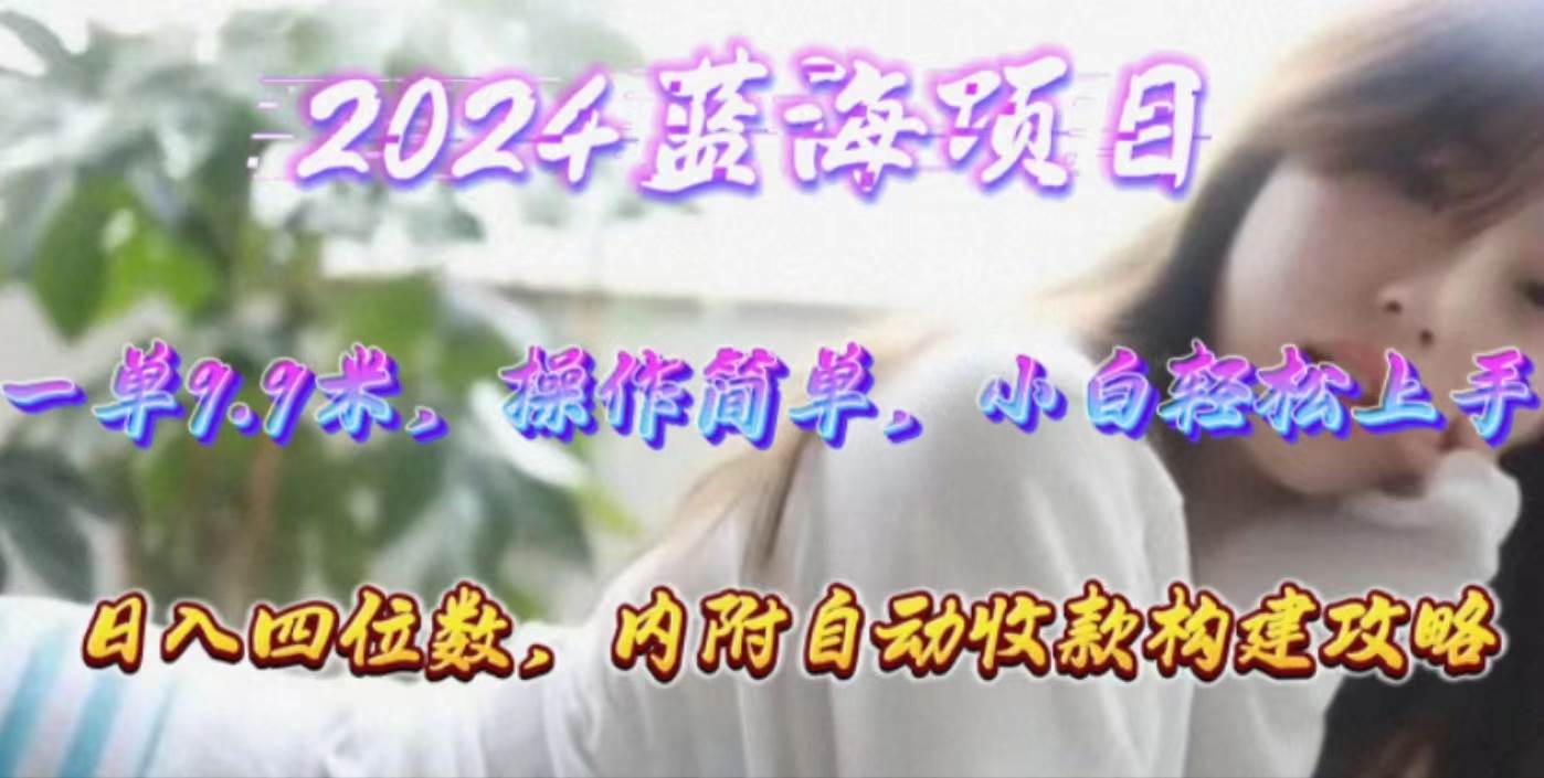 年轻群体的蓝海市场，1单9.9元，操作简单，小白轻松上手，日入四位数 - 维兴科技-维兴科技
