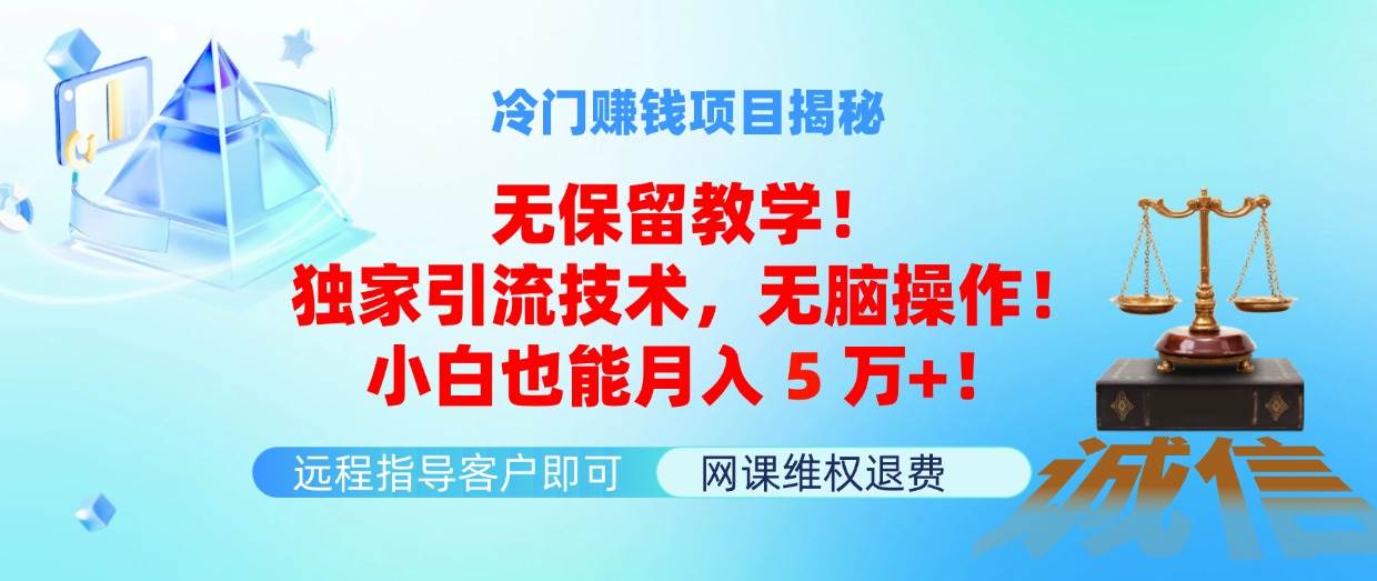 冷门赚钱项目无保留教学！独家引流技术，无脑操作！小白也能月入5万+！ - 维兴科技-维兴科技