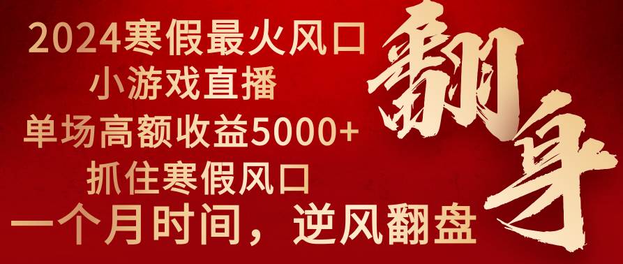 2024年最火寒假风口项目 小游戏直播 单场收益5000+抓住风口 一个月直接提车 - 维兴科技-维兴科技