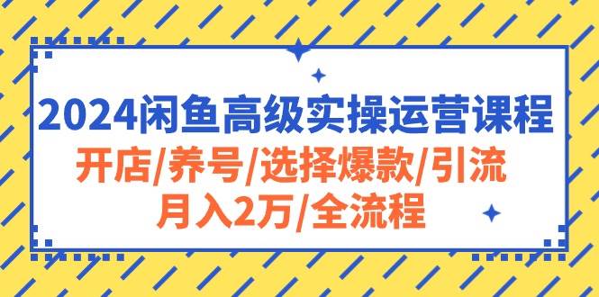 2024闲鱼高级实操运营课程：开店/养号/选择爆款/引流/月入2万/全流程 - 维兴科技-维兴科技