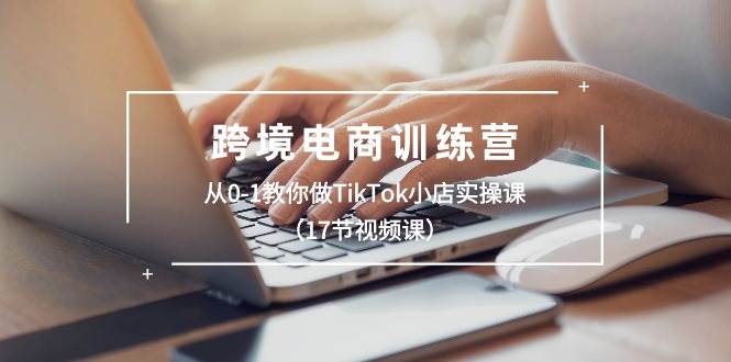 跨境电商训练营：从0-1教你做TikTok小店实操课（17节视频课） - 维兴科技-维兴科技