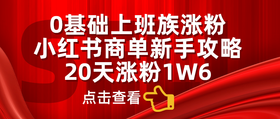0基础上班族涨粉，小红书商单新手攻略，20天涨粉1.6w - 维兴科技-维兴科技