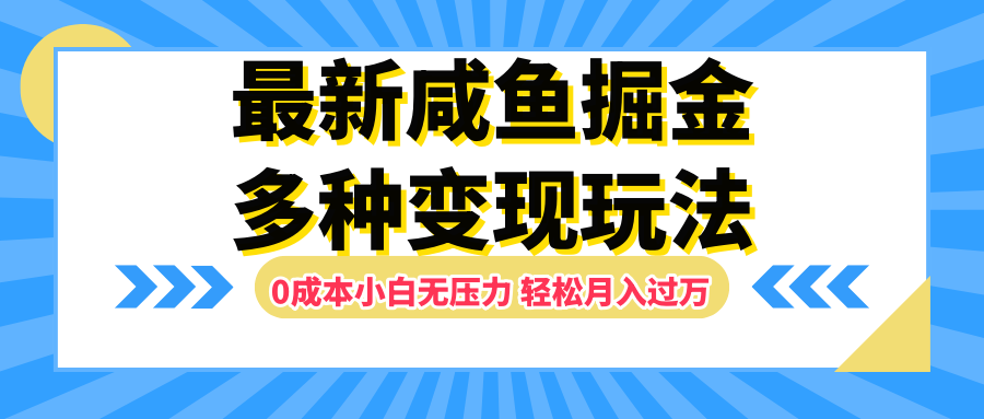 最新咸鱼掘金玩法，更新玩法，0成本小白无压力，多种变现轻松月入过万 - 维兴科技-维兴科技