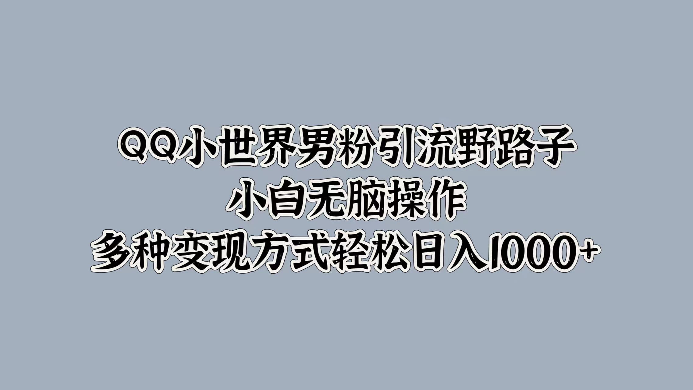 QQ小世界男粉引流野路子，小白无脑操作，多种变现方式轻松日入1000+ - 维兴科技-维兴科技