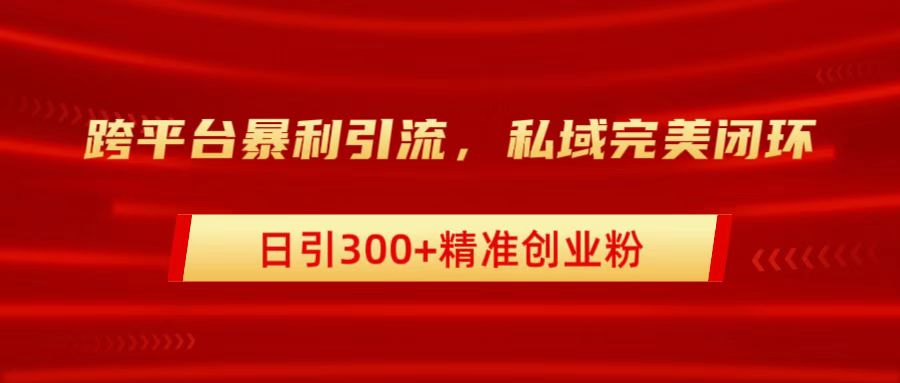 跨平台暴力引流，私域完美闭环，日引300+精准创业粉 - 维兴科技-维兴科技