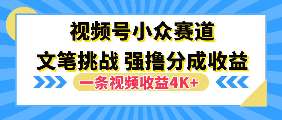 视频号小众赛道，文笔挑战，一条视频收益4K+ - 维兴科技-维兴科技