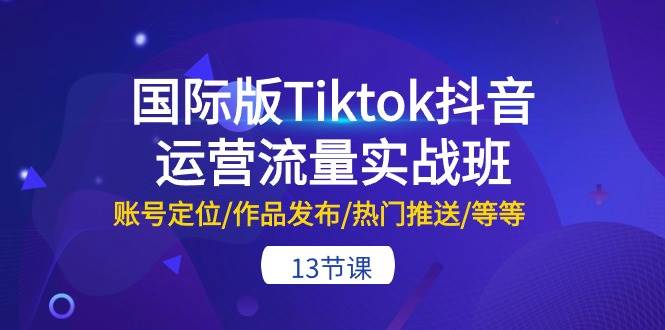 国际版Tiktok抖音运营流量实战班：账号定位/作品发布/热门推送/等等-13节 - 维兴科技-维兴科技