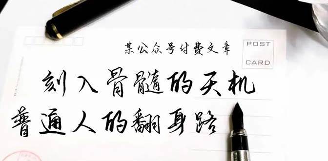 某公众号付费文章：刻入骨髓的天机，揭露“普通人的翻身路” 这件通天大事 - 维兴科技-维兴科技