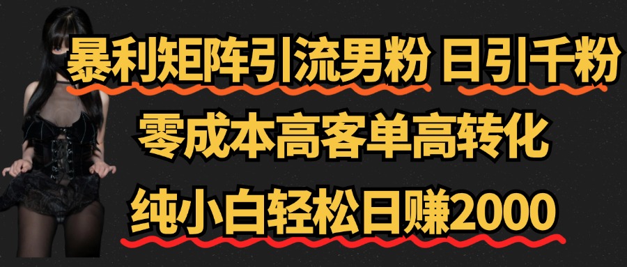 暴利矩阵引流男粉（日引千粉），零成本高客单高转化，纯小白轻松日赚2000+ - 维兴科技-维兴科技