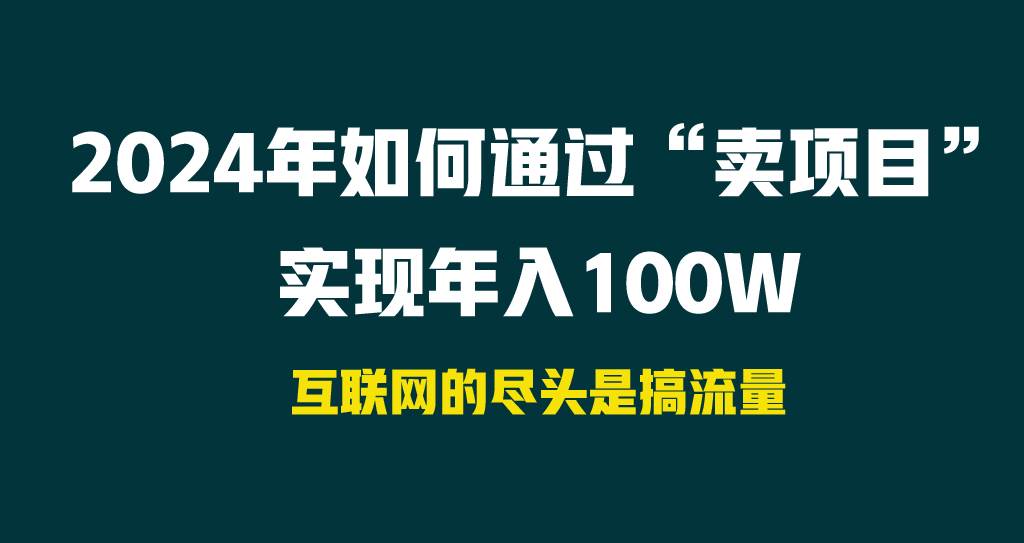 2024年如何通过“卖项目”实现年入100W - 维兴科技-维兴科技