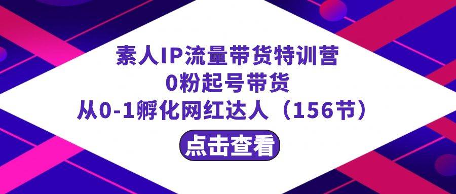 繁星·计划素人IP流量带货特训营：0粉起号带货 从0-1孵化网红达人（156节） - 维兴科技-维兴科技