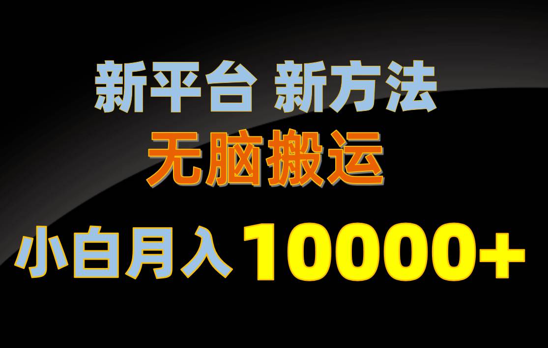新平台新方法，无脑搬运，月赚10000+，小白轻松上手不动脑 - 维兴科技-维兴科技