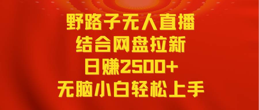 无人直播野路子结合网盘拉新，日赚2500+多平台变现，小白无脑轻松上手操作 - 维兴科技-维兴科技