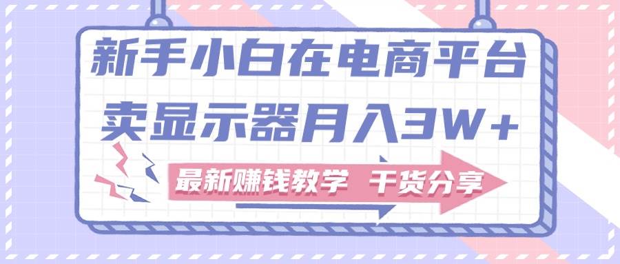 新手小白如何做到在电商平台卖显示器月入3W+，最新赚钱教学干货分享 - 维兴科技-维兴科技