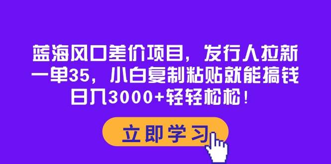 蓝海风口差价项目，发行人拉新，一单35，小白复制粘贴就能搞钱！日入3000+轻轻松松 - 维兴科技-维兴科技