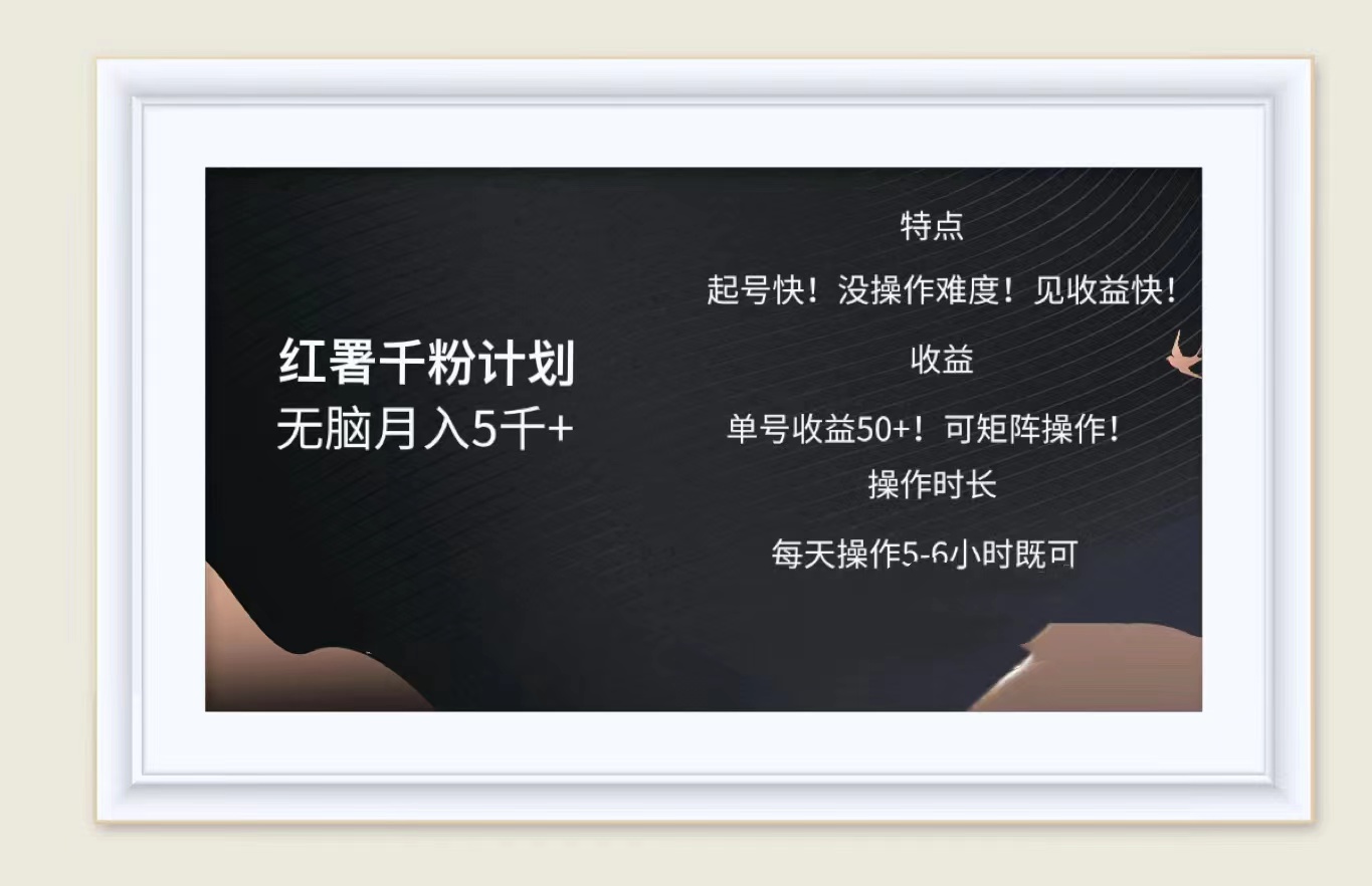 红薯千粉计划无脑月入5千➕！既做既赚！ - 维兴科技-维兴科技