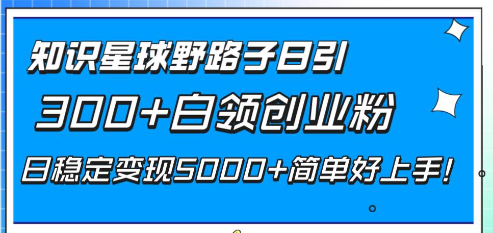知识星球野路子日引300+白领创业粉，日稳定变现5000+简单好上手！ - 维兴科技-维兴科技
