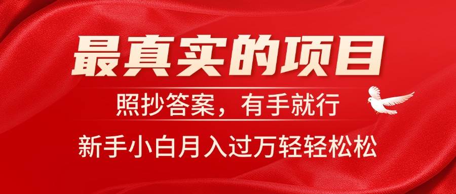 最真实的项目，照抄答案，有手就行，新手小白月入过万轻轻松松 - 维兴科技-维兴科技