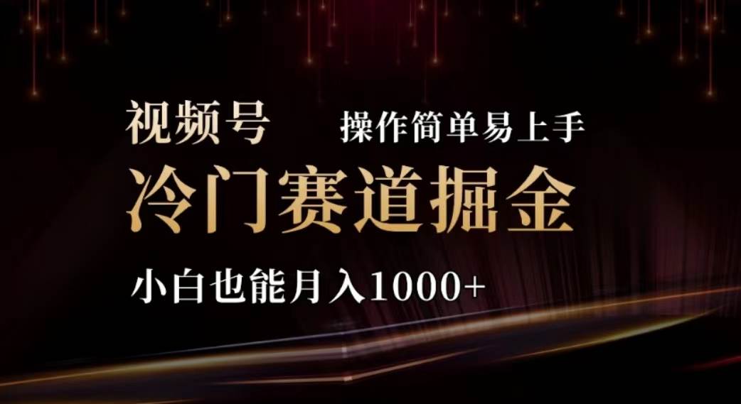 2024视频号冷门赛道掘金，操作简单轻松上手，小白也能月入1000+ - 维兴科技-维兴科技