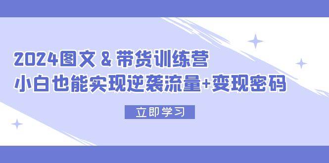 2024 图文+带货训练营，小白也能实现逆袭流量+变现密码 - 维兴科技-维兴科技