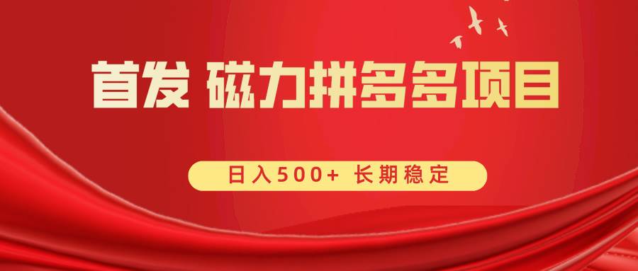 首发 磁力拼多多自撸 日入500+ - 维兴科技-维兴科技
