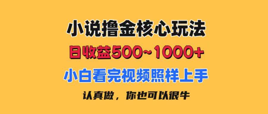 小说撸金核心玩法，日收益500-1000+，小白看完照样上手，0成本有手就行 - 维兴科技-维兴科技