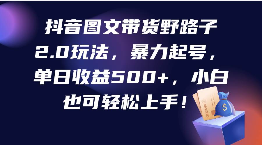 抖音图文带货野路子2.0玩法，暴力起号，单日收益500+，小白也可轻松上手！ - 维兴科技-维兴科技
