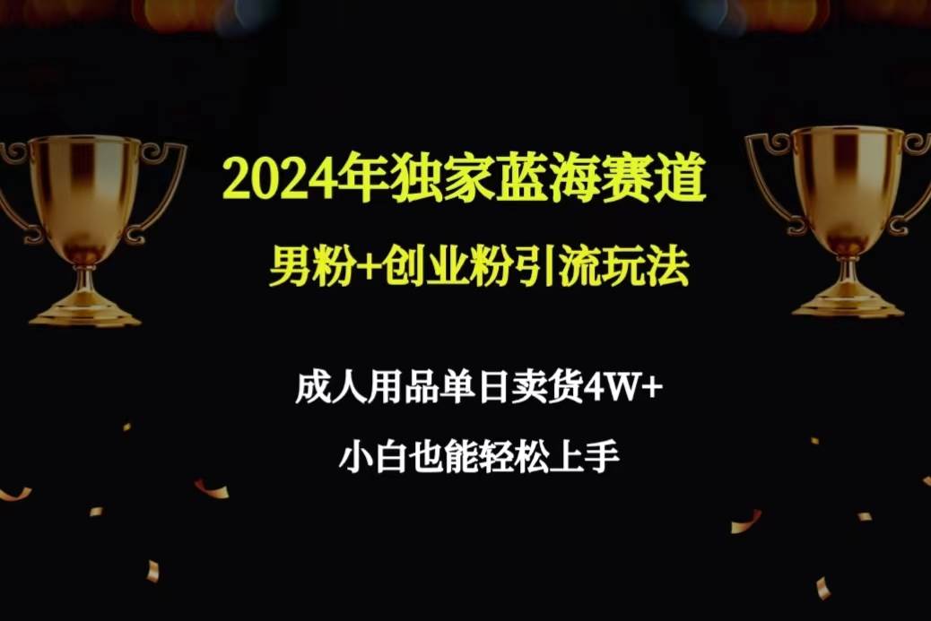 2024年独家蓝海赛道男粉+创业粉引流玩法，成人用品单日卖货4W+保姆教程 - 维兴科技-维兴科技