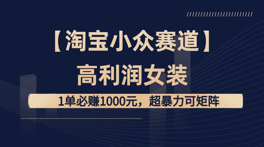 【淘宝小众赛道】高利润女装：1单必赚1000元，超暴力可矩阵 - 维兴科技-维兴科技