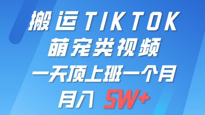 一键搬运TIKTOK萌宠类视频 一部手机即可操作 所有平台均可发布 轻松月入5W+ - 维兴科技-维兴科技